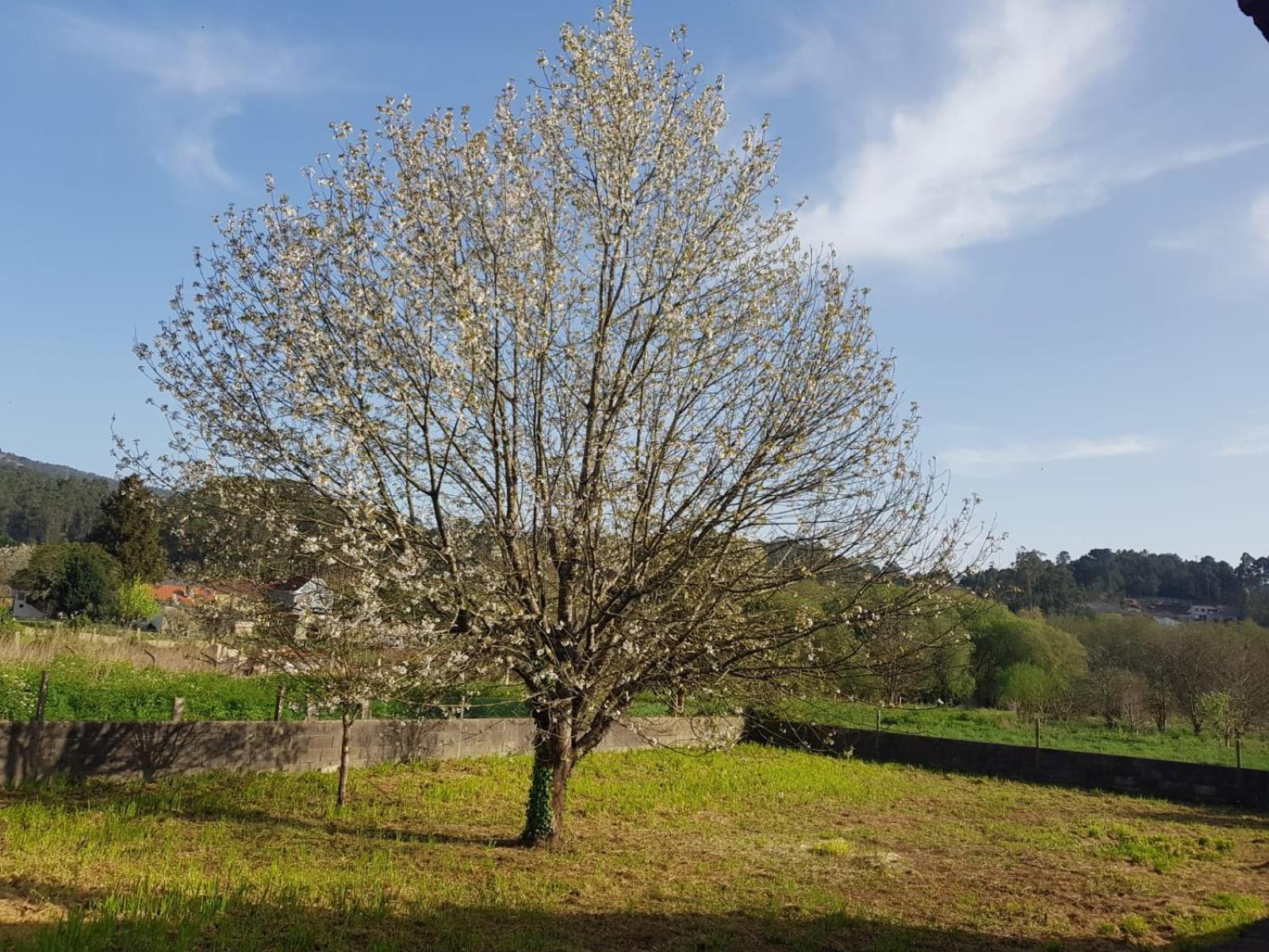 Vila Casa La Porrinesa Porriño Exteriér fotografie